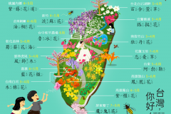 17155838_1692502447713540_958196324483534053_n